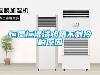 知識百科恒溫恒濕試驗(yàn)箱不制冷的原因