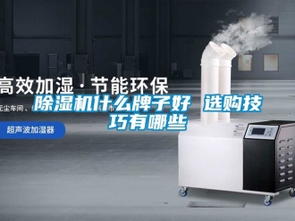 行業(yè)新聞除濕機什么牌子好 選購技巧有哪些