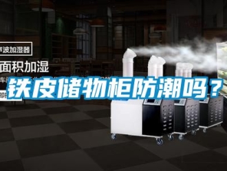 常見問題鐵皮儲物柜防潮嗎？