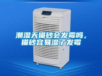 常見問題潮濕天貓砂會發(fā)霉嗎，貓砂容易濕了發(fā)霉
