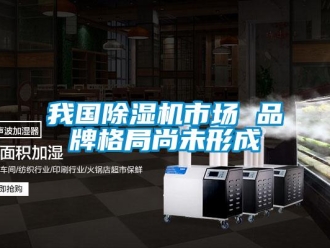 知識百科我國除濕機(jī)市場 品牌格局尚未形成