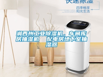 常見問題湘西州工業(yè)除濕機，車間庫房抽濕機  配電房地下室抽濕器