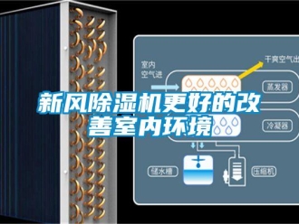 知識百科新風(fēng)除濕機(jī)更好的改善室內(nèi)環(huán)境