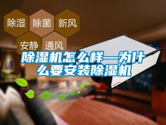 行業新聞除濕機怎么樣—為什么要安裝除濕機