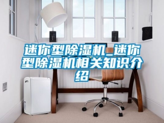 行業新聞迷你型除濕機_迷你型除濕機相關知識介紹
