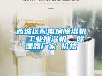 企業(yè)新聞西城區(qū)配電房除濕機，工業(yè)抽濕機  除濕器廠家 價格