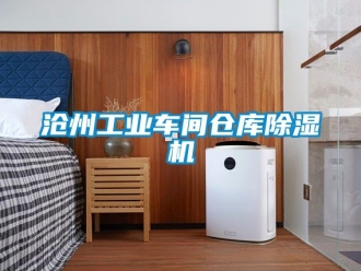 常見問題滄州工業車間倉庫除濕機