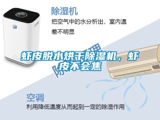 行業(yè)新聞蝦皮脫水烘干除濕機(jī)，蝦皮不會焦