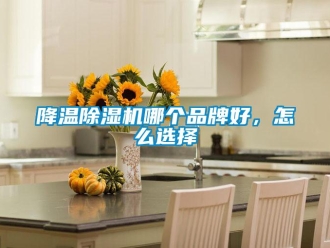 常見問題降溫除濕機哪個品牌好，怎么選擇