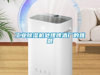 企業新聞工業除濕機處理啤酒廠的難題