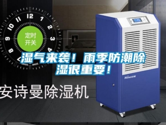常見問題濕氣來襲！雨季防潮除濕很重要！