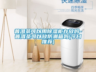 常見問題普洱茶可以用除濕柜存放嗎-普洱茶可以放防潮箱嗎(今日推薦)