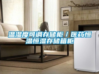 知識百科溫濕度可調(diào)存儲柜／醫(yī)藥恒溫恒濕存儲箱柜