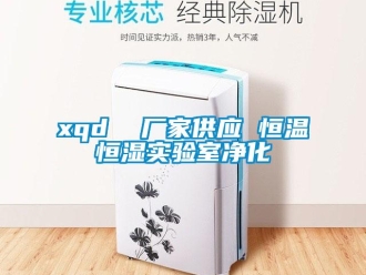 常見問題xqd  廠家供應 恒溫恒濕實驗室凈化