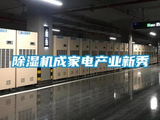 企業(yè)新聞除濕機(jī)成家電產(chǎn)業(yè)新秀