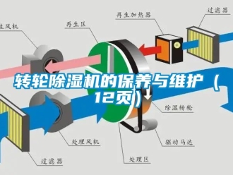 常見(jiàn)問(wèn)題轉(zhuǎn)輪除濕機(jī)的保養(yǎng)與維護(hù)（12頁(yè)）