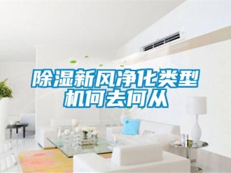 企業(yè)新聞除濕新風凈化類型機何去何從