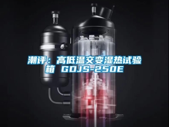 常見問題潮評：高低溫交變濕熱試驗箱 GDJS-250E