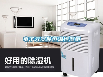知識百科電子元器件恒溫恒濕柜