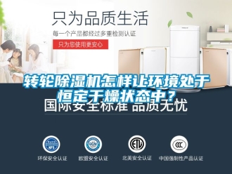 常見問題轉輪除濕機怎樣讓環(huán)境處于恒定干燥狀態(tài)中？