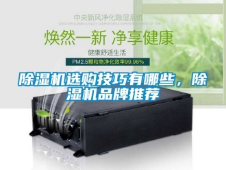 企業新聞除濕機選購技巧有哪些，除濕機品牌推薦