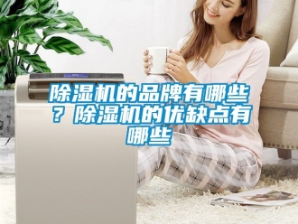 企業(yè)新聞除濕機(jī)的品牌有哪些？除濕機(jī)的優(yōu)缺點(diǎn)有哪些