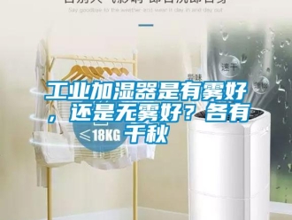 企業(yè)新聞工業(yè)加濕器是有霧好，還是無(wú)霧好？各有千秋