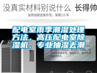 行業(yè)新聞配電室雨季潮濕處理方法，高壓配電室除濕機(jī)，專業(yè)抽濕去潮