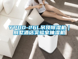 企業新聞YPDD-26L吊頂除濕機｜別墅酒店實驗室抽濕機