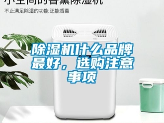 企業新聞除濕機什么品牌最好，選購注意事項